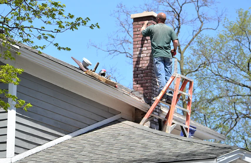 Chimney & Fireplace Inspections Services in South Laurel, MD